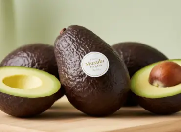 Avocado Fruit
